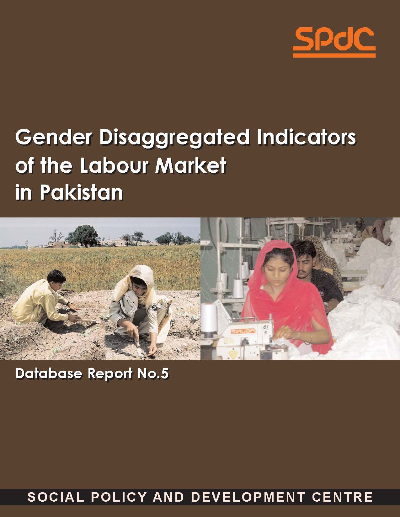 Gender Disaggregated Indicators of the Labour Market in Pakistan