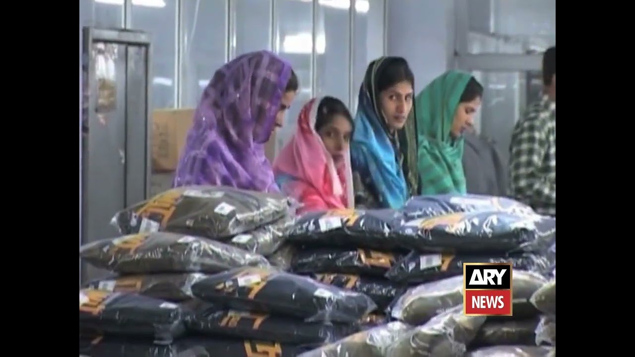 ARY NEWS – DECLINE OF INVESTMENT – DR. MUHAMMAD SABIR