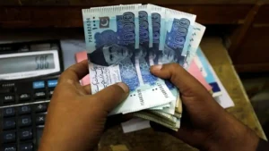 Domestic resource trap: When raising revenue shrinks the economy